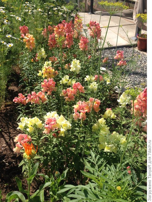 К примеру вот