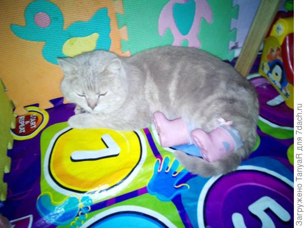 Кот в сапогах