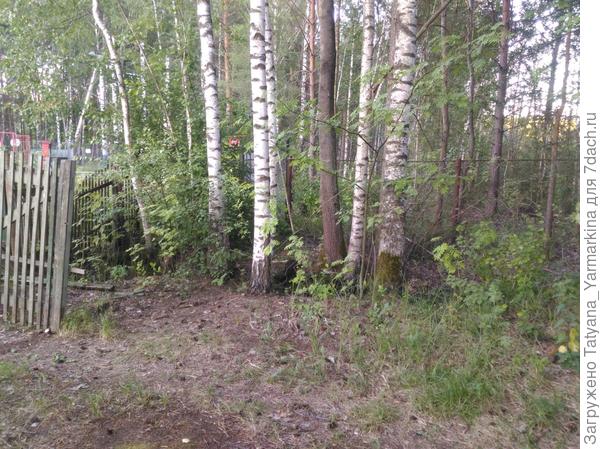 канава на участке