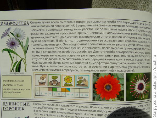 информация