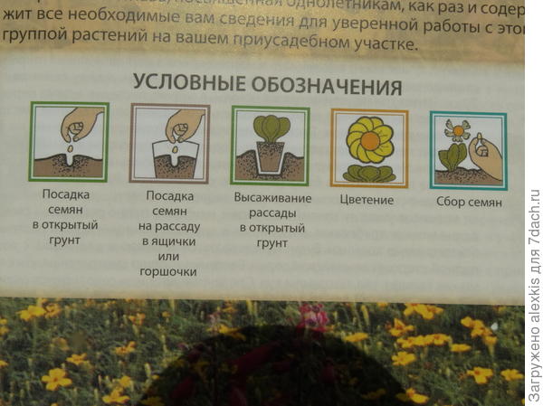 информация