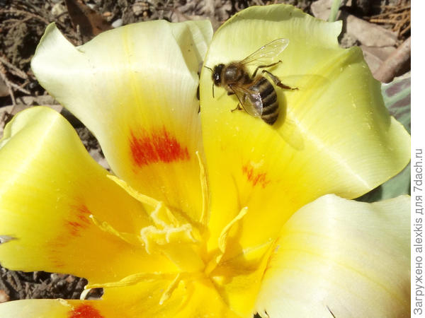 Охота - пуще неволи