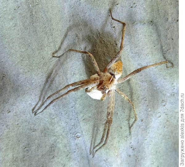 вид с верху