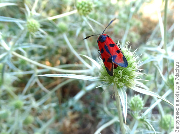 вид с верху