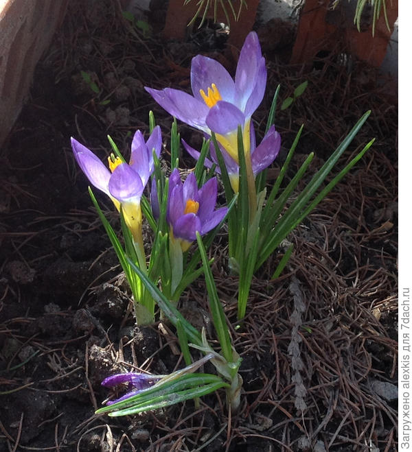 мне кажется , что так интереснее.