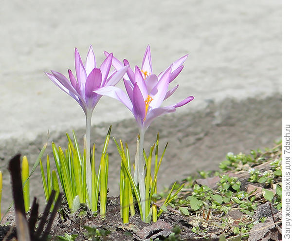 мне кажется, что так было-бы лучше.