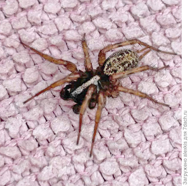 высветленный снимок