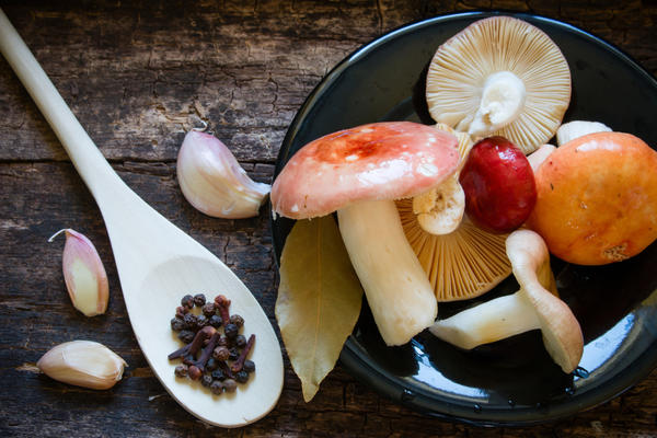 Как приготовить грибы на зиму в банках – 3 универсальных рецепта | Дачная кухня (luchistii-sudak.ru)