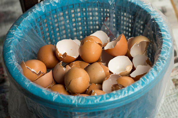 Cколько яичной скорлупы вы отправляете в мусорное ведро?