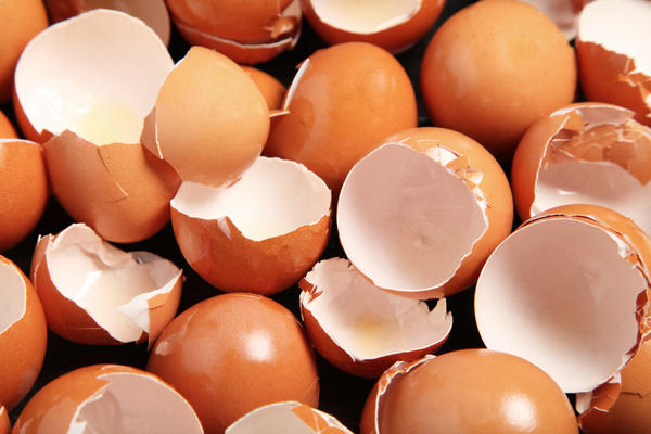Скорлупа от сырых коричневых яиц самая ценная