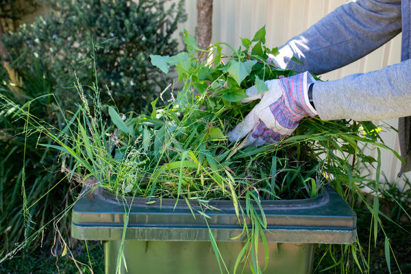 Как вы готовите травяные подкормки?