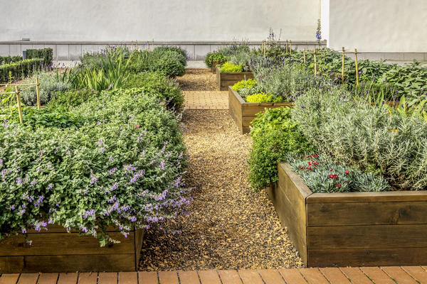 Современный огород — не только источник овощей, но и элемент дизайна участка