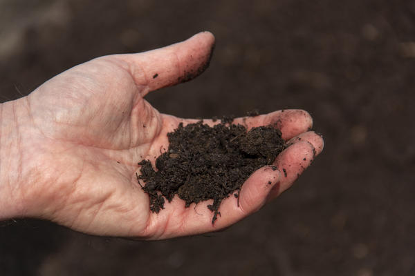Плодородная почва - это не только запас питательных веществ