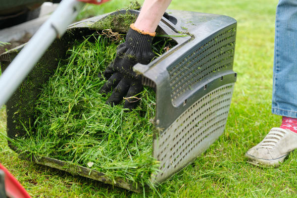 Как использовать скошенную траву на даче?