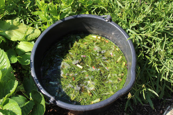 Скошенную газонную траву можно использовать для приготовления жидкого зеленого удобрения