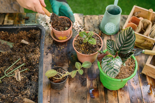 Как правильно собрать почву для комнатных растений: 11 компонентов