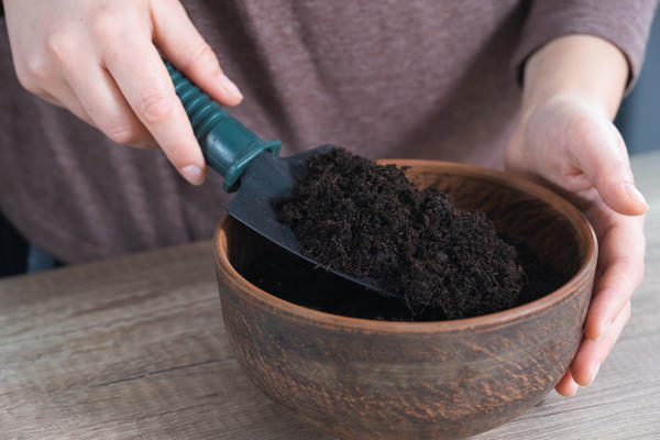 Качественная почвенная смесь очень важна для здоровья комнатных растений