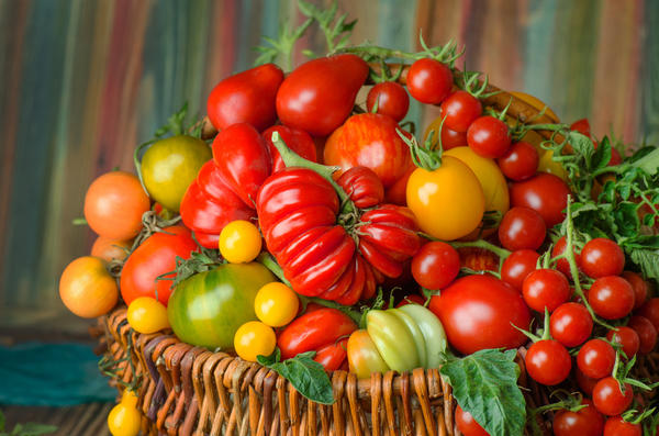 Выбирайте лучшие сорта томатов для своего огорода!