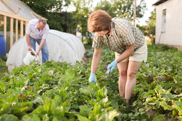 Выходите на улицу, когда спадает жара