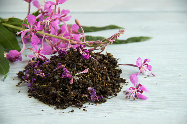 Традиционный копорский чай из листьев кипрея узколистного, или иван-чая