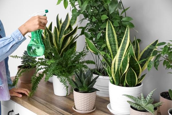 Универсальное удобрение — это удобно и практично