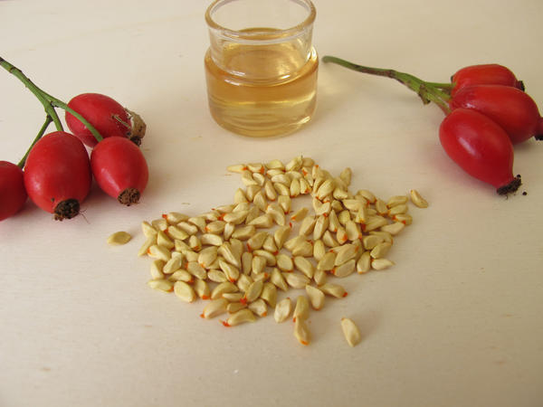 Масло шиповника от шрамов и ожогов MANYO FACTORY Rosehip Oil (20мл)