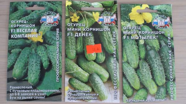 Семена огурцов