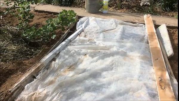 Поверх всех слоёв укрываем грядку агроволокном