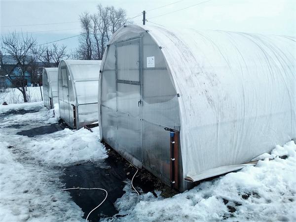 Теплица с притенением. Вид снаружи