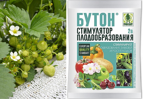 С помощью Бутона вы получите максимальное количество завязей