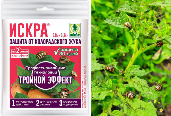 В сложных случаях поможет Искра Тройной Эффект В сложных случаях поможет Искра Тройной Эффект