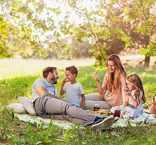 Весенние и летние деньки самое лучшее время для пикника. Фото family_jurnal