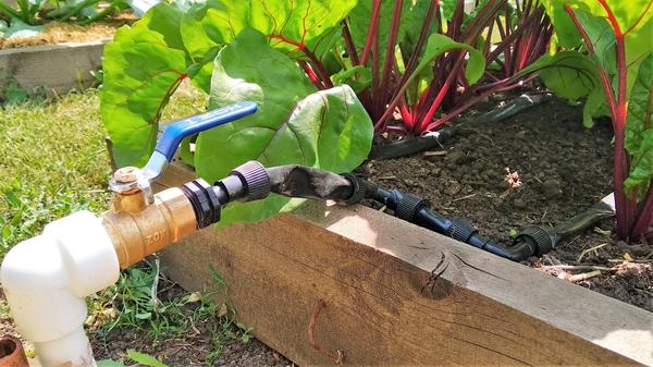 Система капельного полива в саду. Как сделать систему капельного орошения своими руками