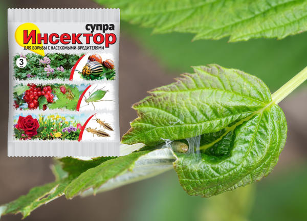 Инсектор Супра надежно защитит растения от листоверток и других вредных насекомых