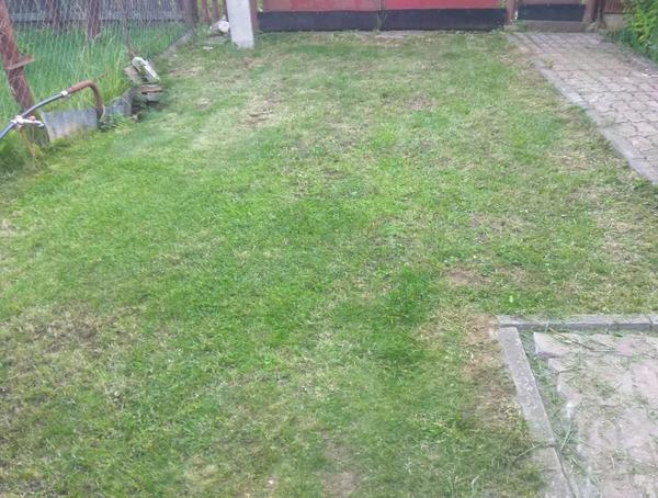 Газон очищен от мха