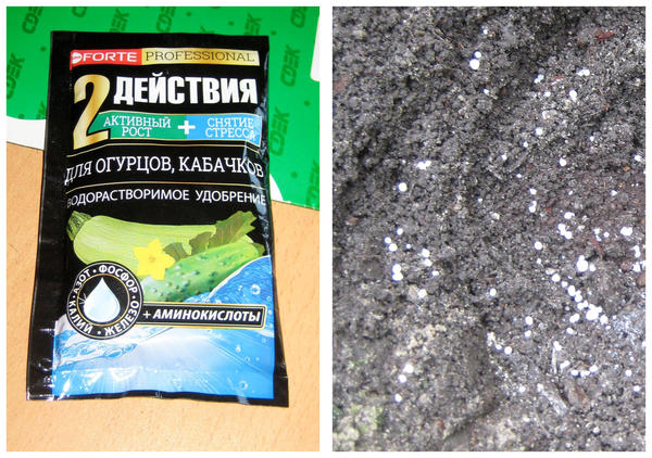 Первая подкормка в сухом виде