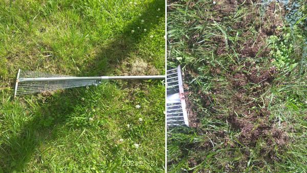 Вычесываю газон