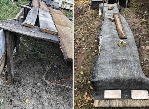 Виноград в зимнем коробе. Фото Антона Монетова (antosha62)