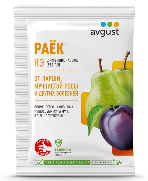 Раек