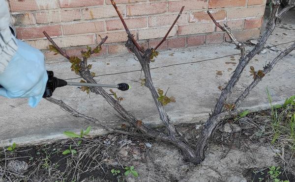 При обработке используйте средства защиты