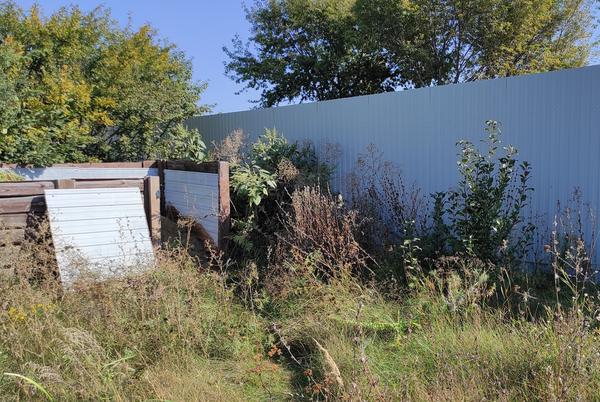 Бывает, что остаются участки без внимания - и зарастают мощными сорняками или порослью кустарников. Фото автора