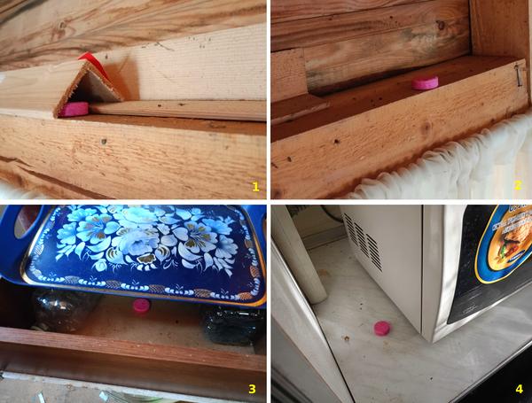 Разложила приманку на дачной веранде в четырех местах