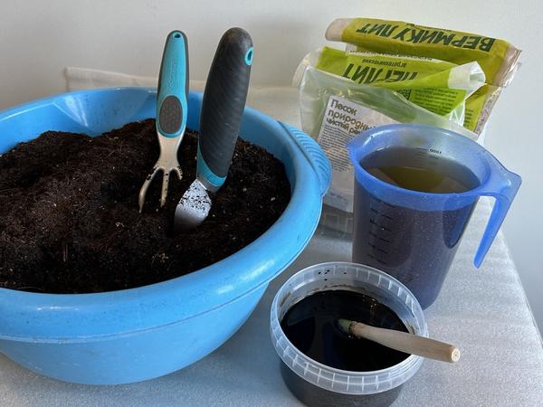 Для профилактики болезней проливаем почву раствором Фитоспорина-М, приготовленным по инструкции.