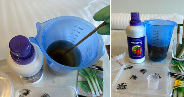 Для замачивания семян разводим Аминосил из расчета 10 мл на 1 л воды