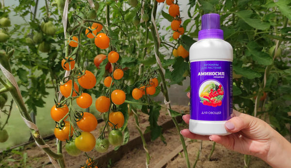 Жидкий концентрат Аминосил для овощей отлично подходит для внекорневой подкормки