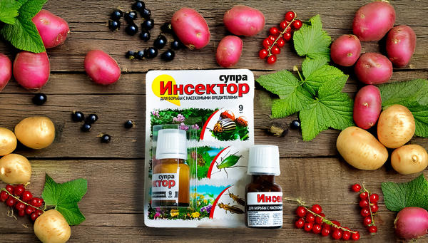 Инсектор Супра для борьбы с насекомыми-вредителями