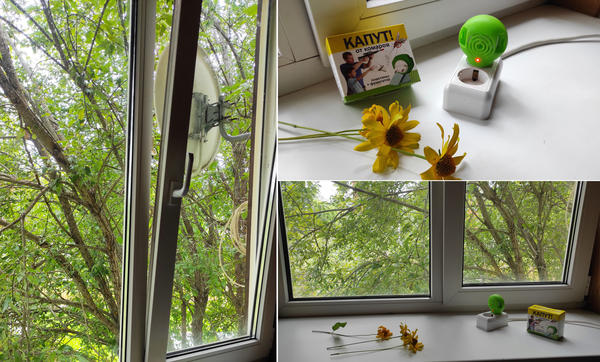 На окне нет сеток, и напротив растет большое дерево, в листве которого должны быть комары. Установила фумигатор на подоконнике