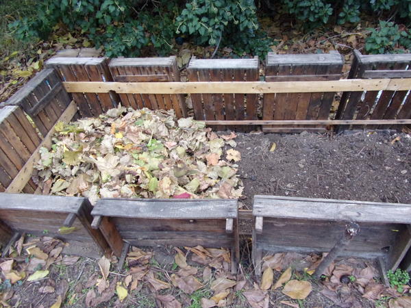 Запасаемся удобрениями. Фото Фабианы (Fabiana)