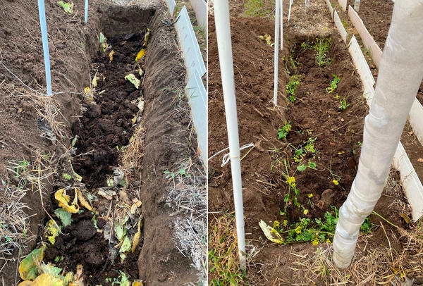 Подготовка грядки под огурцы с осени. Фото Антона Монетова (antosha62)