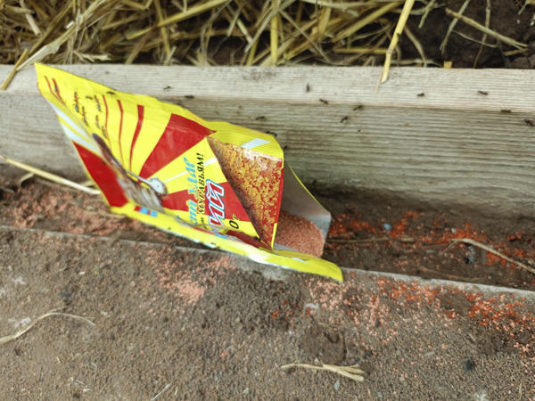 Насыпаем по пути движения муравьев